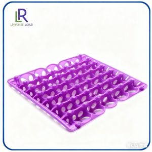Egg Tray Mould
