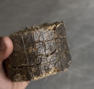 Organic Groundnut Shell Briquette, Color : Brown, Form : Solid