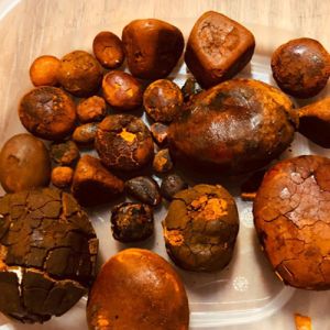 Ox Gallstones, Cattle Gallstones, Cow Gallstones Ox Gallstones, Cattle Gallstones, Cow Gallstones
