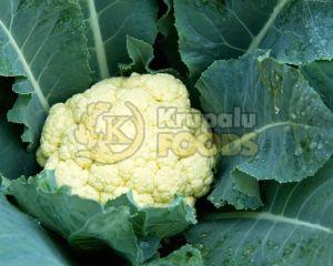 Fresh Cauliflowers