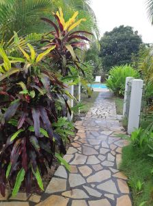 Sandstone Crazy Paving