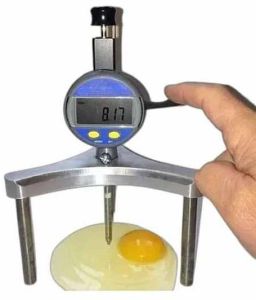 Steel Digital Egg Haugh Tester