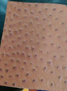 Raw & Processed Leather