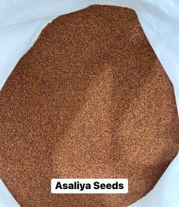 Asaliya Seeds