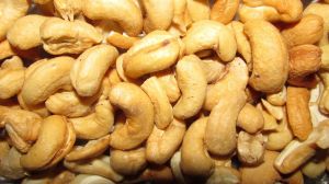 Cashew