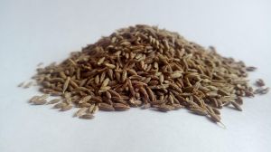 Cuminum Cyminum Cumin Seeds
