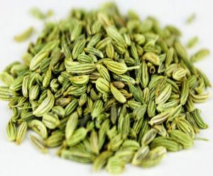 Fennel Seeds, Packaging Type : Packet, Jar