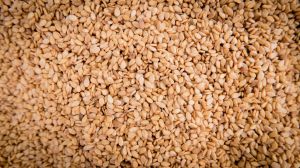 Natural Sesame Seeds