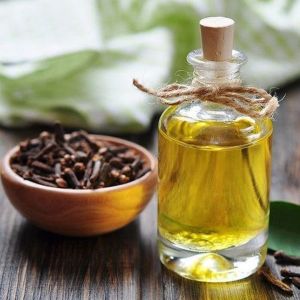 Clove Bud Oil