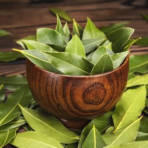 Leaves Bay Leaf for Cooking, Flavoring