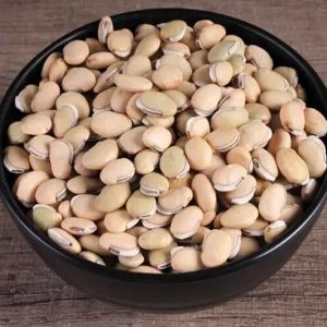 Field Beans for Food Consumption