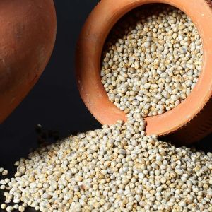 Tusker Berry Millet for Human Consumption, Animal Feed