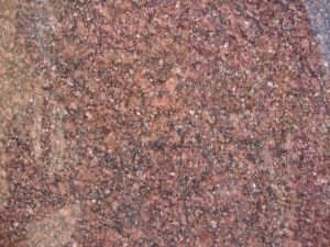 Natural Stone Forest Brown Granite, Thickness : 20mm, 30mm