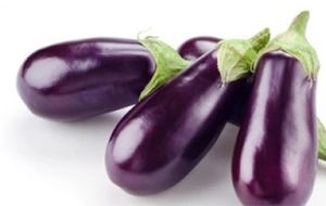 Fresh Eggplant