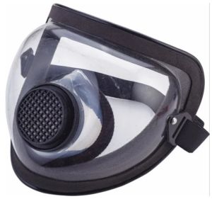 Bubble Face Shield with Mask
