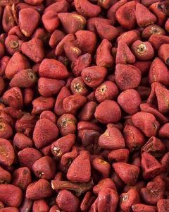 Annatto Seed