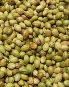 coriander seeds