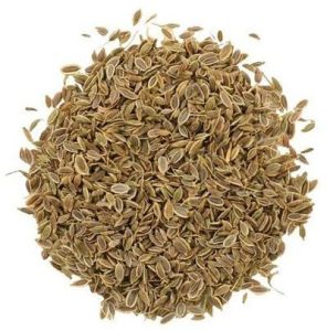 Dill Seed, Packaging Type : 25Kg, 40Kg, 50Kg PP Bag