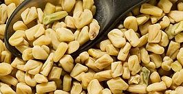 Fenugreek Seed