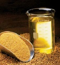 Soybeans Crude Degummed Soya Bean Oil