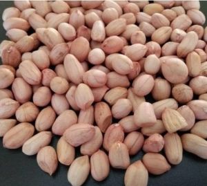 Groundnuts
