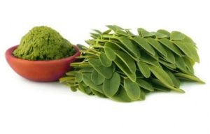 Moringa Leaves Raw Powder