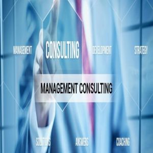 Business Consultant