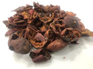 Dried Pomegranate Peel Extract, Grade : Medicine Grade for Cosmetics