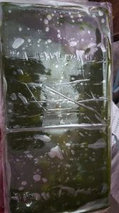 Sugar Kaccha Mango Fruit Bar, Color : Green