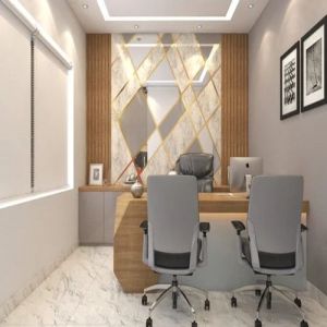 Modern Office Interior Designing Service