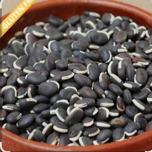 Black Lima Beans
