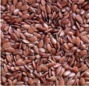 Flax Seeds