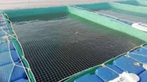 Fish Breeding Nets, Color : Assorted, Packaging Type : Individual