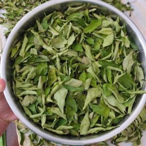 Natural Dry Curry Leaves, Color : Green, Packaging Type : Loose