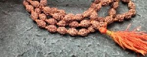 3 Mukhi Rudraksha Mala, Color : Brown