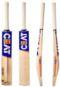 Premium Kashmir Willow Cricket Bat