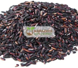 Black Rice