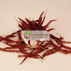 Byadgi Chilli