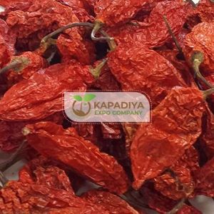 Ghost Pepper/ Bhut Jolokia Chilli