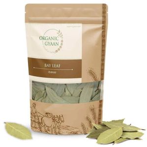 Bay Leaf Tej Patta, Color : Green