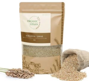 Unpolished Organic Jowar (Sorghum Millet) Grain