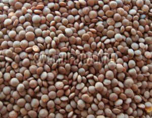 Nirmatya Brown Toor Dal, Packaging Type : Packet For Cooking, Human Consumption