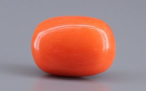 Italian Red Coral - 11.19 Carat Limited Quality CC-5936