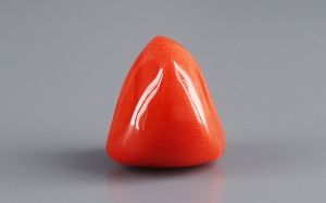 Italian Red Coral - 13.14 Carat Rare Quality TC-5385