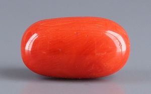 Italian Red Coral - 8.31 Carat Rare Quality CC-5937