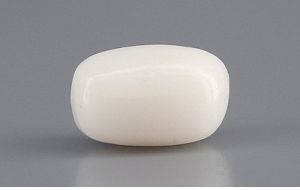 White Coral Stone