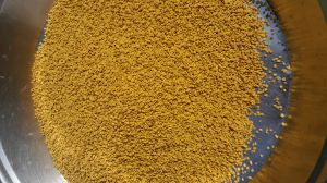 Adsans Bee Pollen, Form : Powder, Raw, Purity : 95%