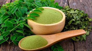 Blended Moringa Powder, Color : Green, Purity : 100%