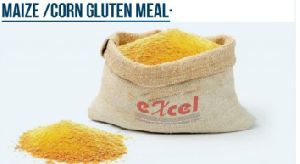 EXCEL Corn Gluten Feed, Color : Yellow, Packaging Type : PP Bag