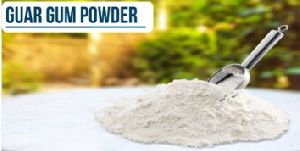 Guar Gum Powder